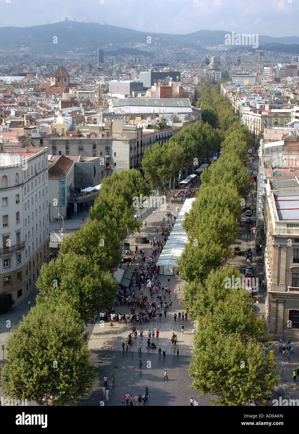 Vue panoramique de Las Ramblas Barcelona LA CATALOGNE CATALOGNE CATALOGNE Barça Barça Costa Brava España Espagne Europe Banque D'Images