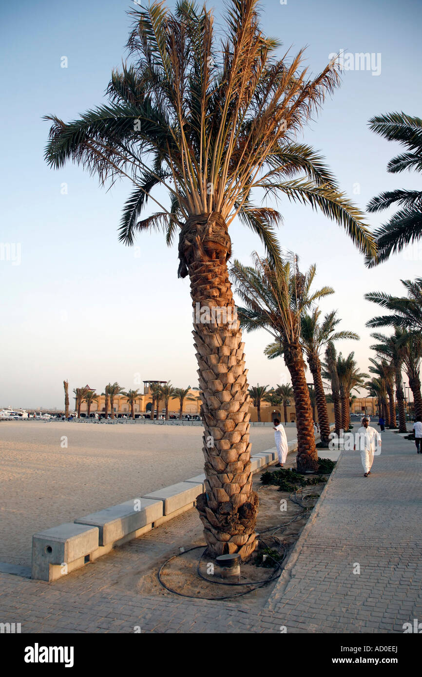 Promenade du Golfe, le Koweït Banque D'Images