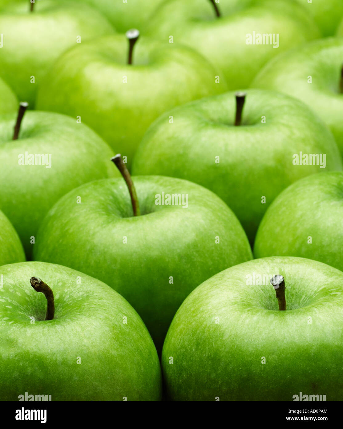 Les pommes Granny Smith Banque D'Images