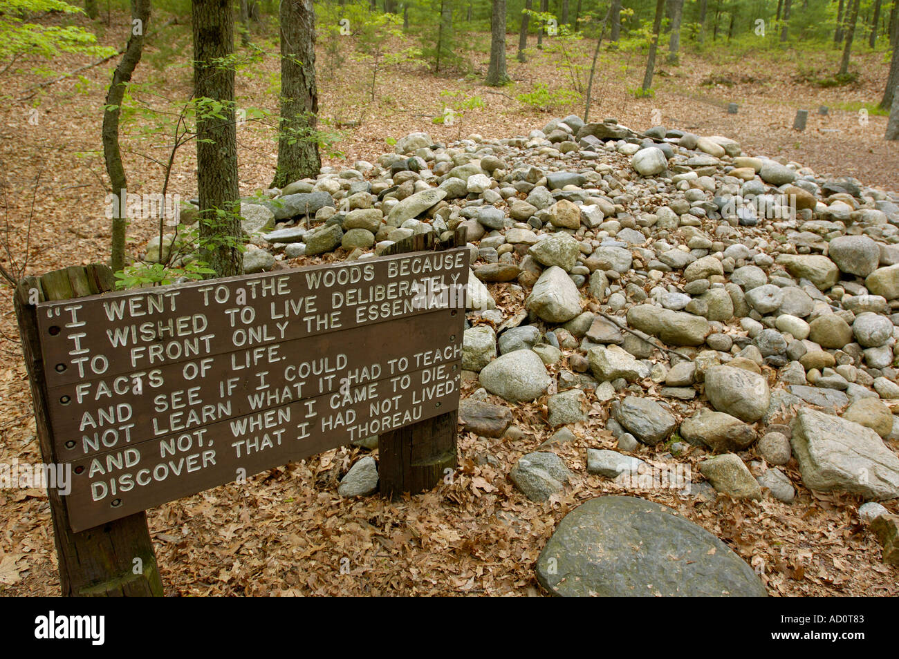 MA Concord Massachusetts Walden Pond State Reservation Henry David Thoreau Banque D'Images