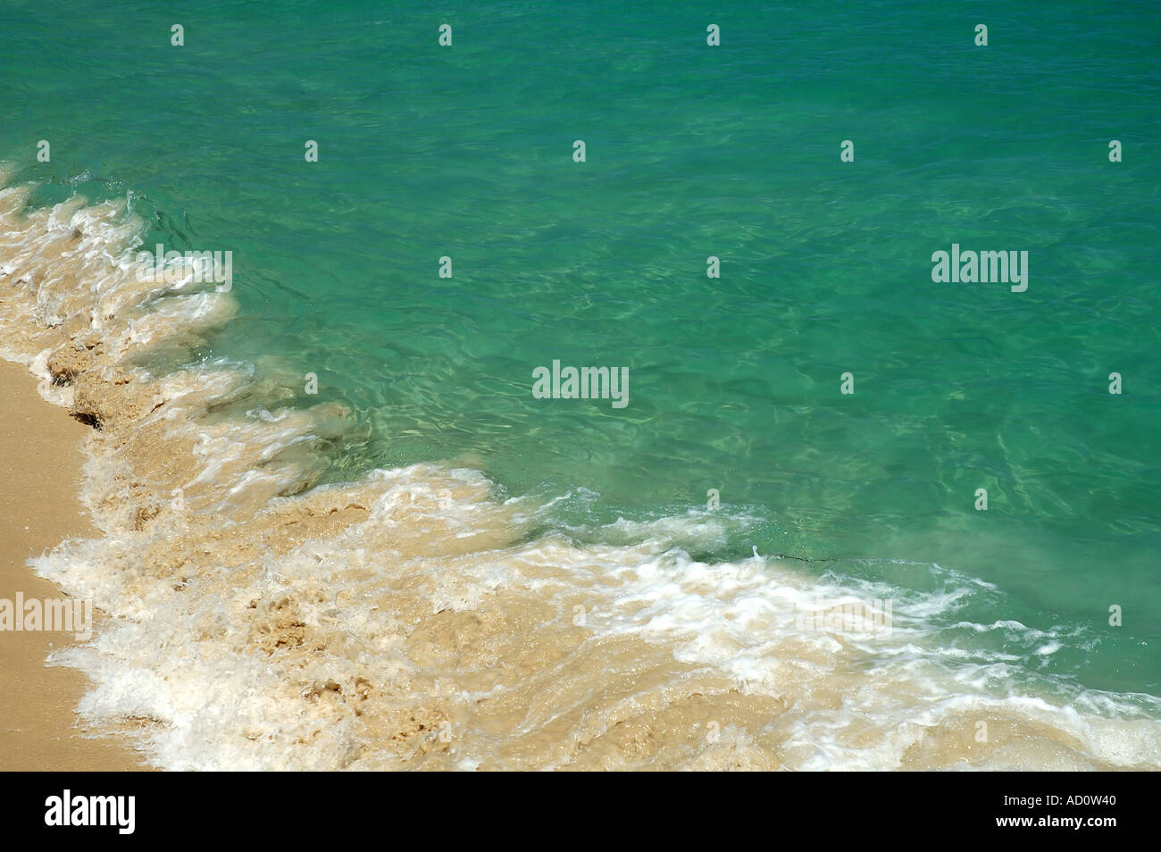 Vague se brisant sur beach Banque D'Images