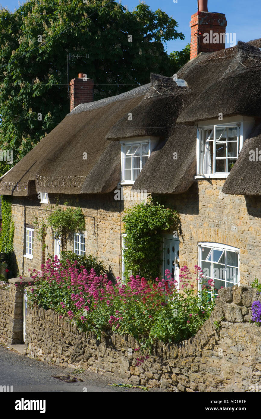 Cottages, Burton Bradstock, Dorset UK Banque D'Images