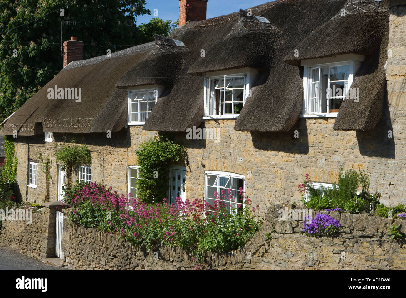 Cottages, Burton Bradstock, Dorset, UK Banque D'Images