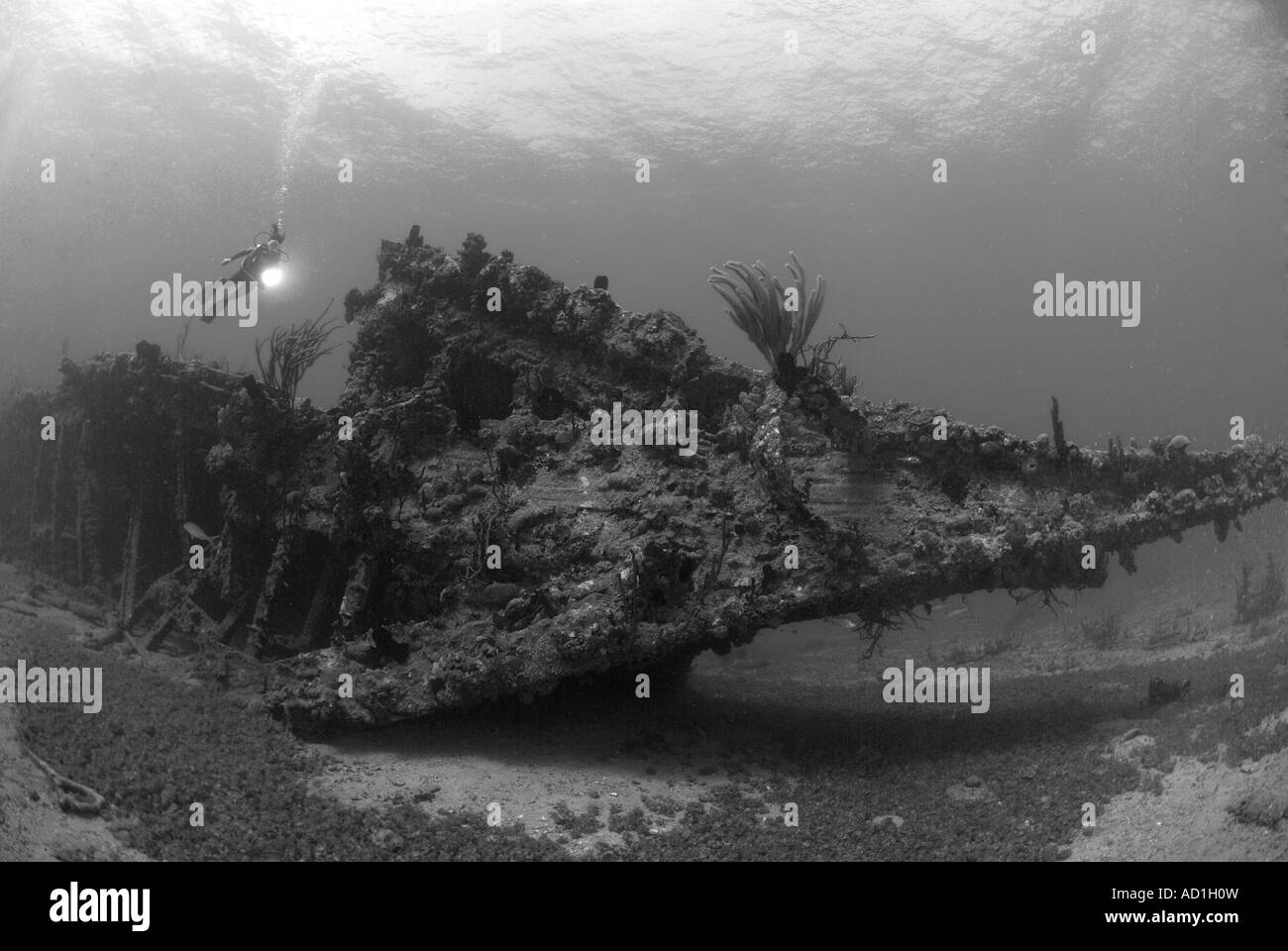 L'épave du Rhône Tortola Iles Vierges Britanniques Tortola BVI, épave du Rhône Îles Vierges Britanniques Îles Vierges britanniques, sous-marin, plongée, plongée sous-marine, de l'océan Banque D'Images