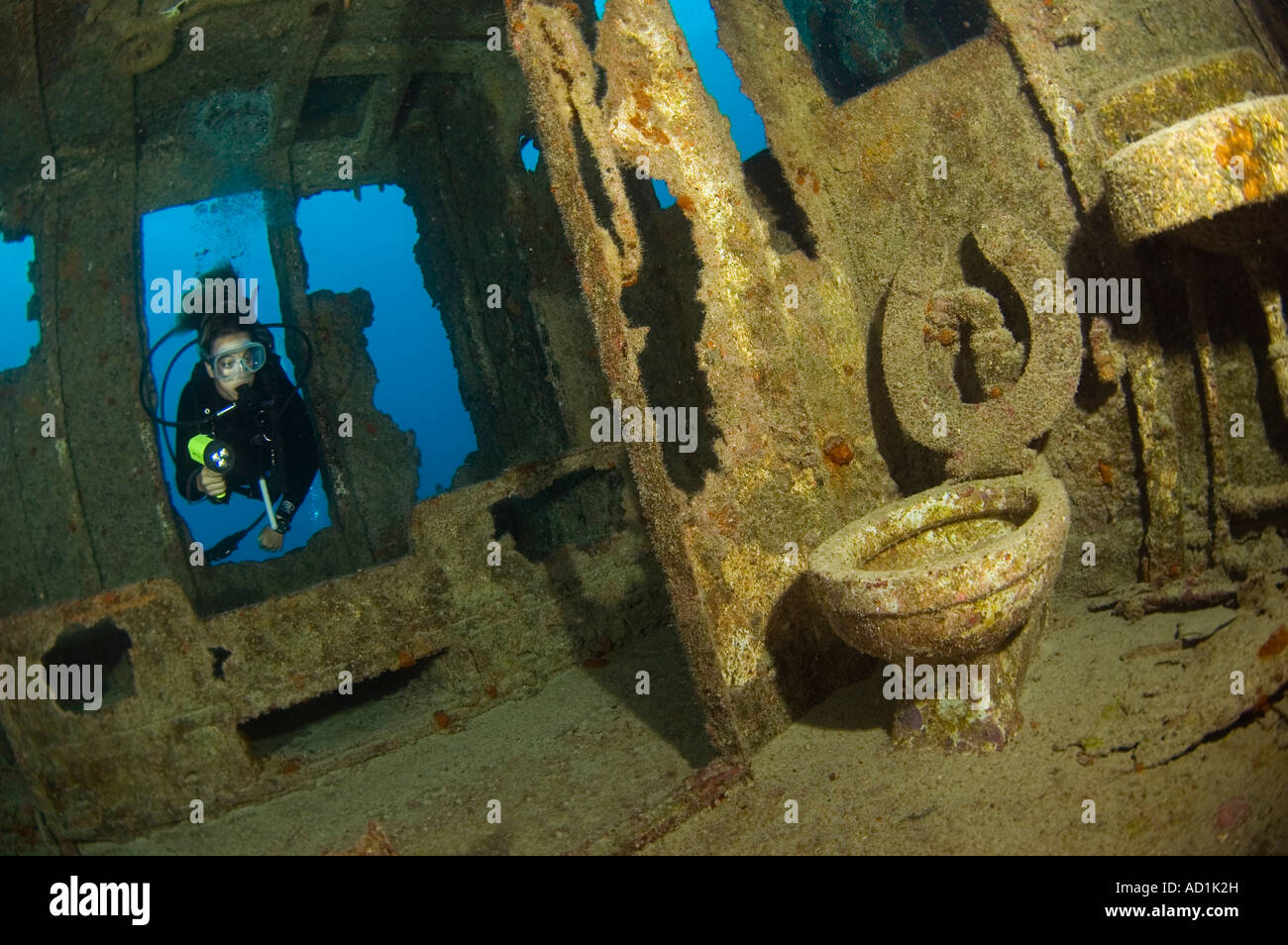 Diver à Hermes naufrage aux Bermudes, femme diver, sous-marin, plongée, plongée sous-marine, l'exploration, passionnant, mystère Banque D'Images