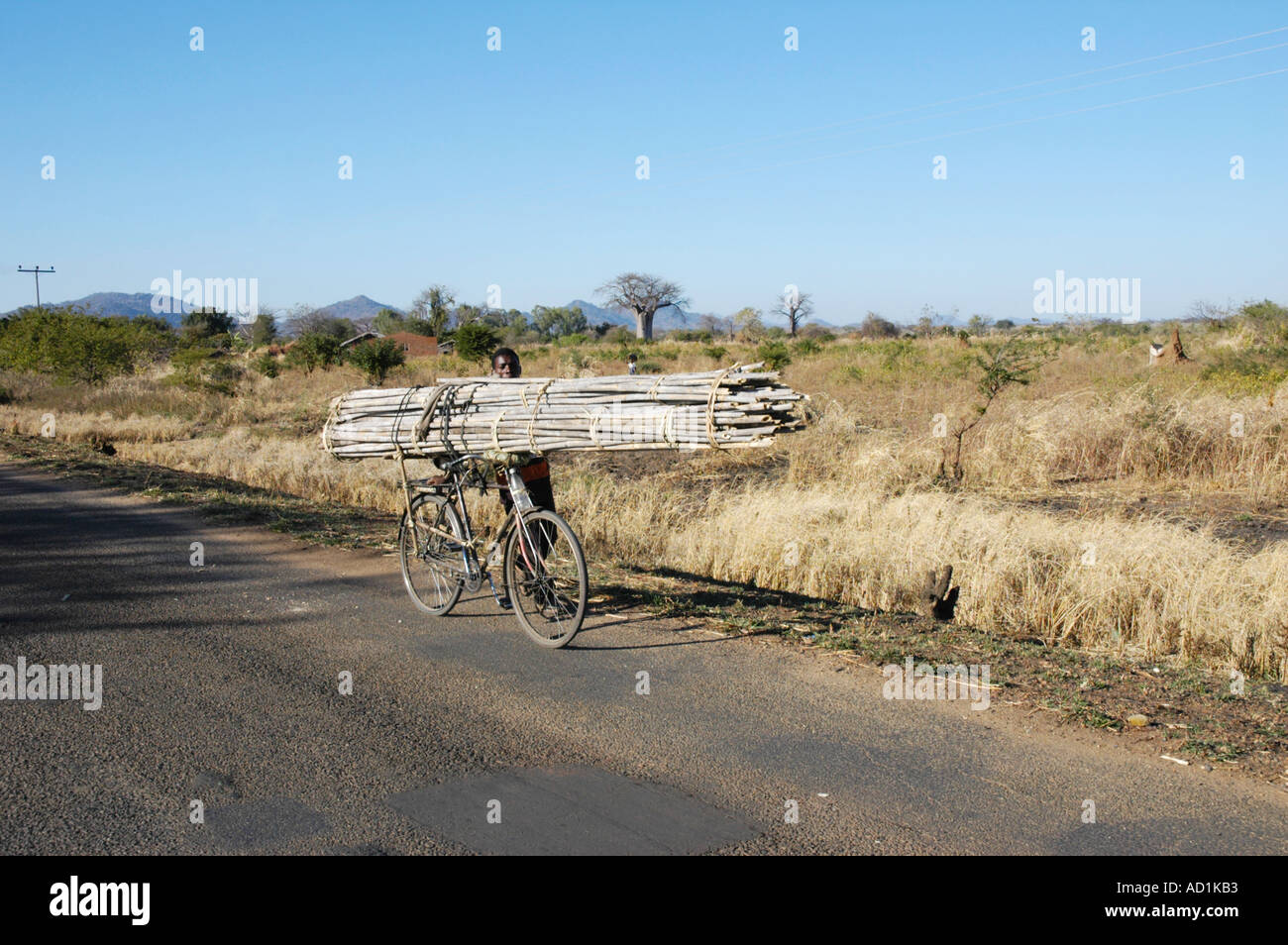 African man carrying charge sur son vélo comme un taxi ou service de camion au Mozambique Banque D'Images