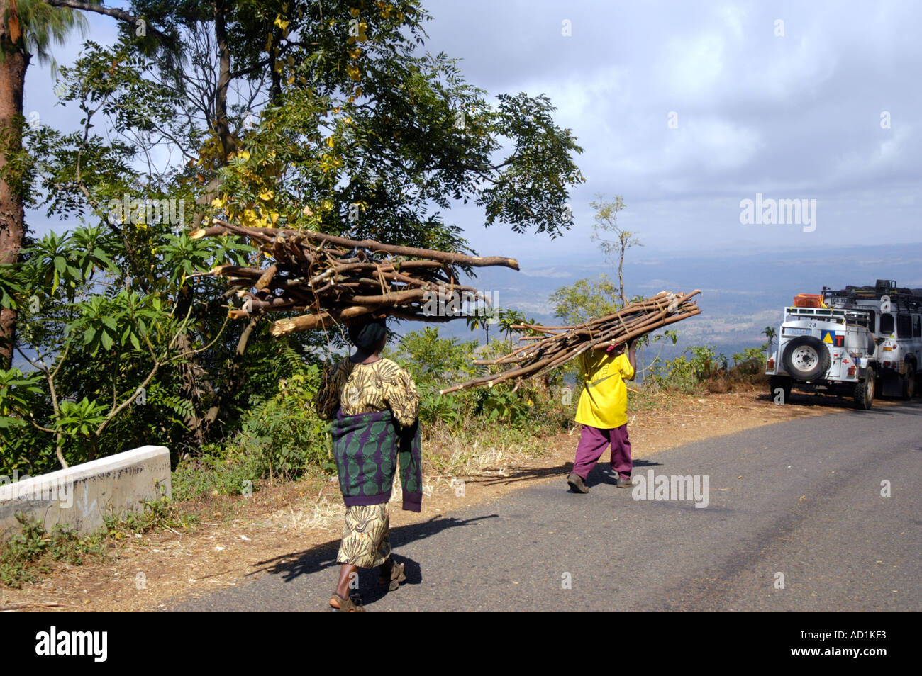 Les Noirs africains exerçant son premier montage bandes et le bois d'en bas de la montagne au-dessus de Zomba au Malawi Banque D'Images