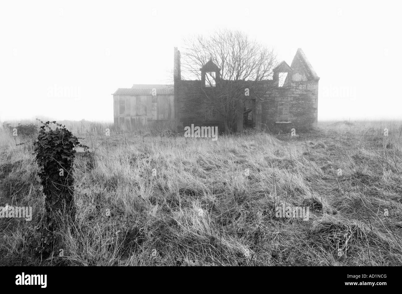 Ferme abandonnée Angus Scotland Banque D'Images