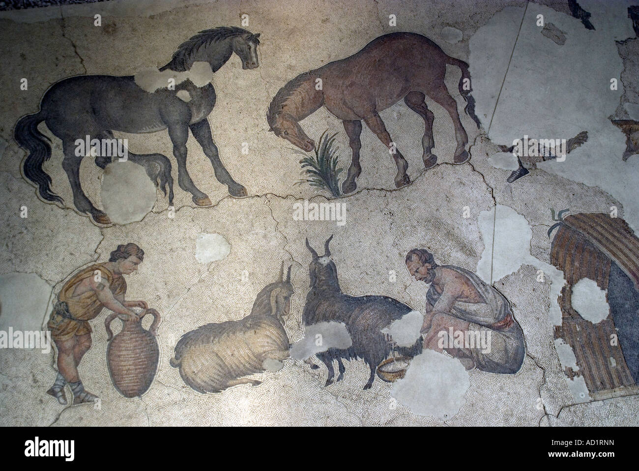 Détail de mosaïque représentant l'élevage en musée des mosaïques en ruines du Grand Palais de Byzance, Istanbul Banque D'Images