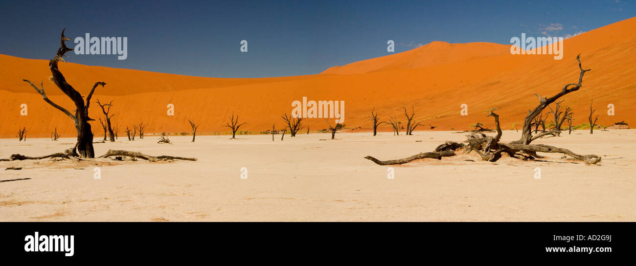 Dead Vlei, Sossusvlei, Namibie, 'Sud' l'Afrique de l'Ouest Banque D'Images