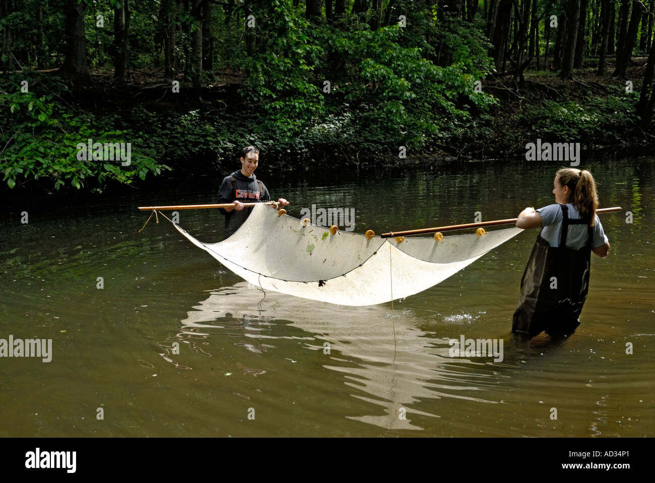 Teenage boy and girl à l'aide de la senne à l'échantillonnage des poissons en rivière Banque D'Images