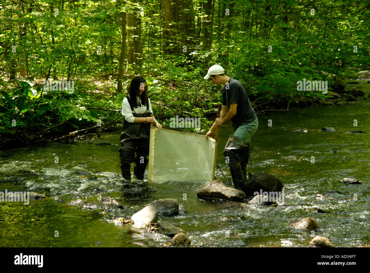 Teenage boy and girl en utilisant 'kick-seine" à flux net de l'échantillon pour les indicateurs de la qualité de l'eau d'invertébrés Banque D'Images