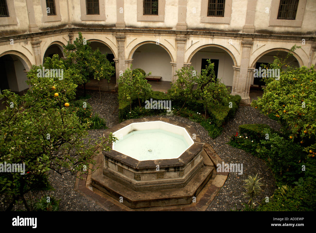 Patio des oranges dans l'ancien collège San Francisco Javier Tlalnepantla, Mexique. Banque D'Images