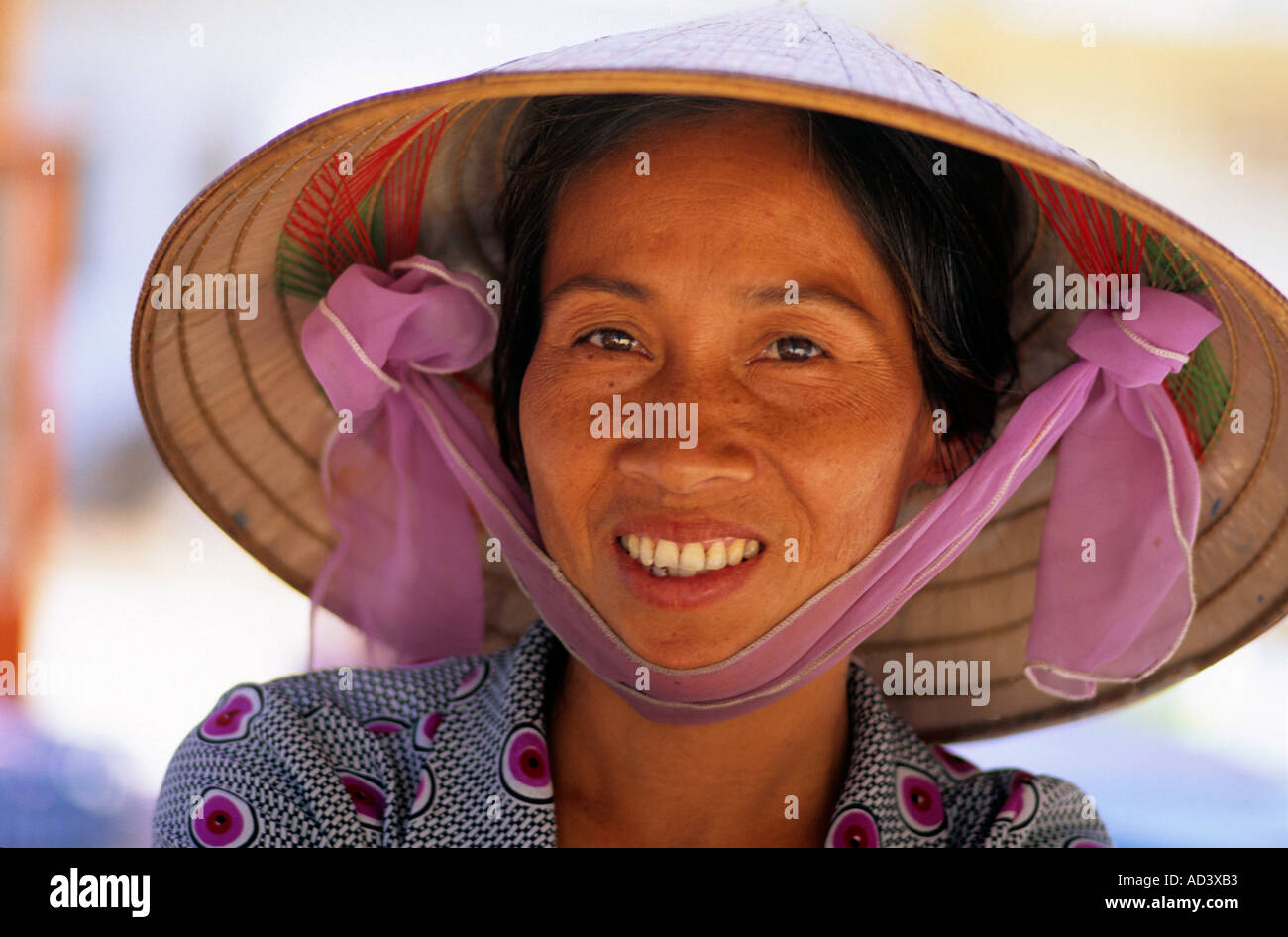 Portrait d'une vietnamienne portant un chapeau traditionnel Banque D'Images