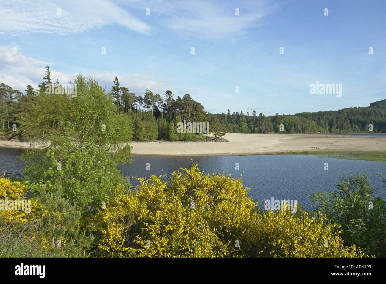 La célèbre plage de sable blanc à l'extrémité supérieure du Loch Laggan dans les Highlands écossais Banque D'Images