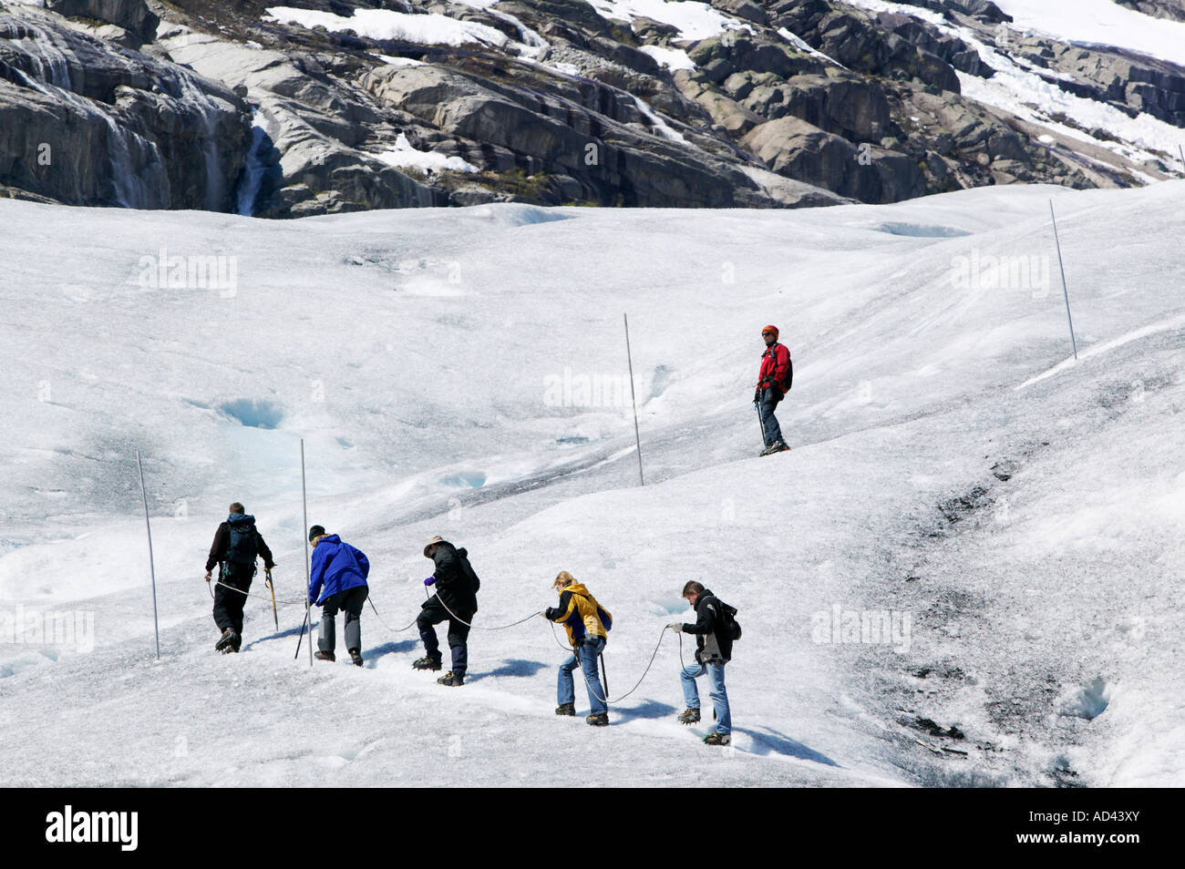 Randonnée guidée sur le glacier Nigardsbreen dans le Parc National de Jostedalsbreen Lustre Sogn og Fjordane Norvège Banque D'Images