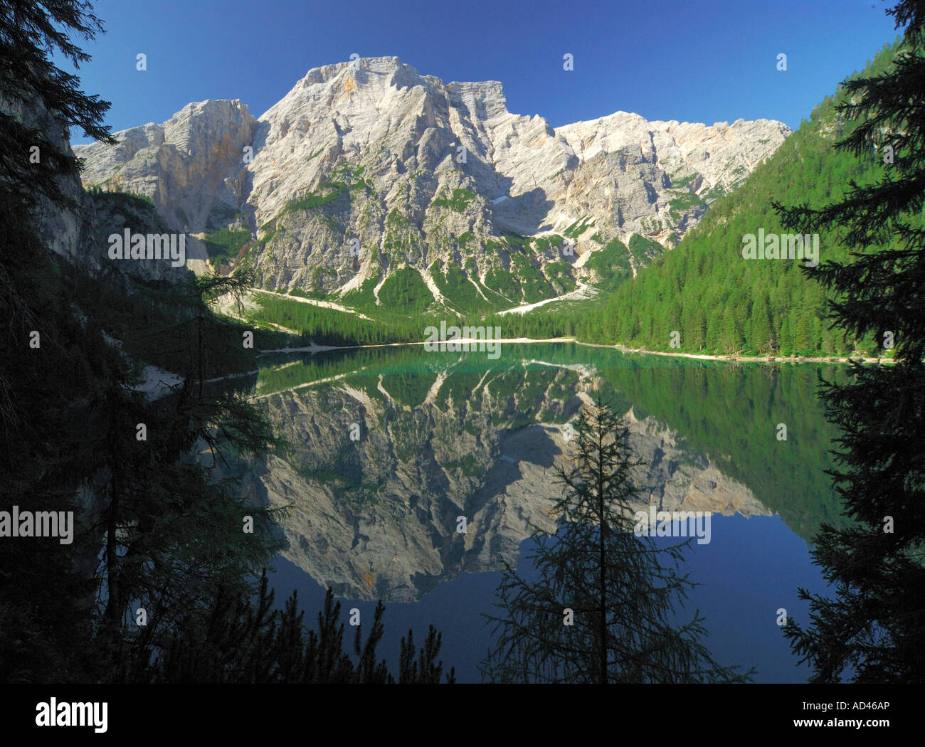 Pragser Wildsee Lago di Braies, Seekofel Croda di Brecco, Pustertal, Tyrol du Sud, Italie Banque D'Images
