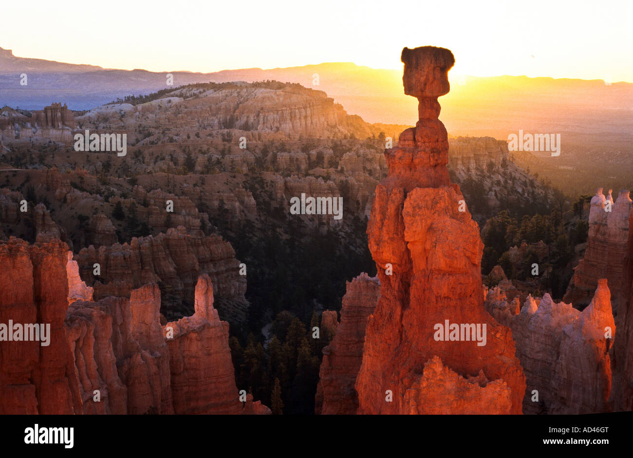 Thors Hammer, Parc National de Bryce Canyon, Utah, États-Unis d'Amérique, USA Banque D'Images