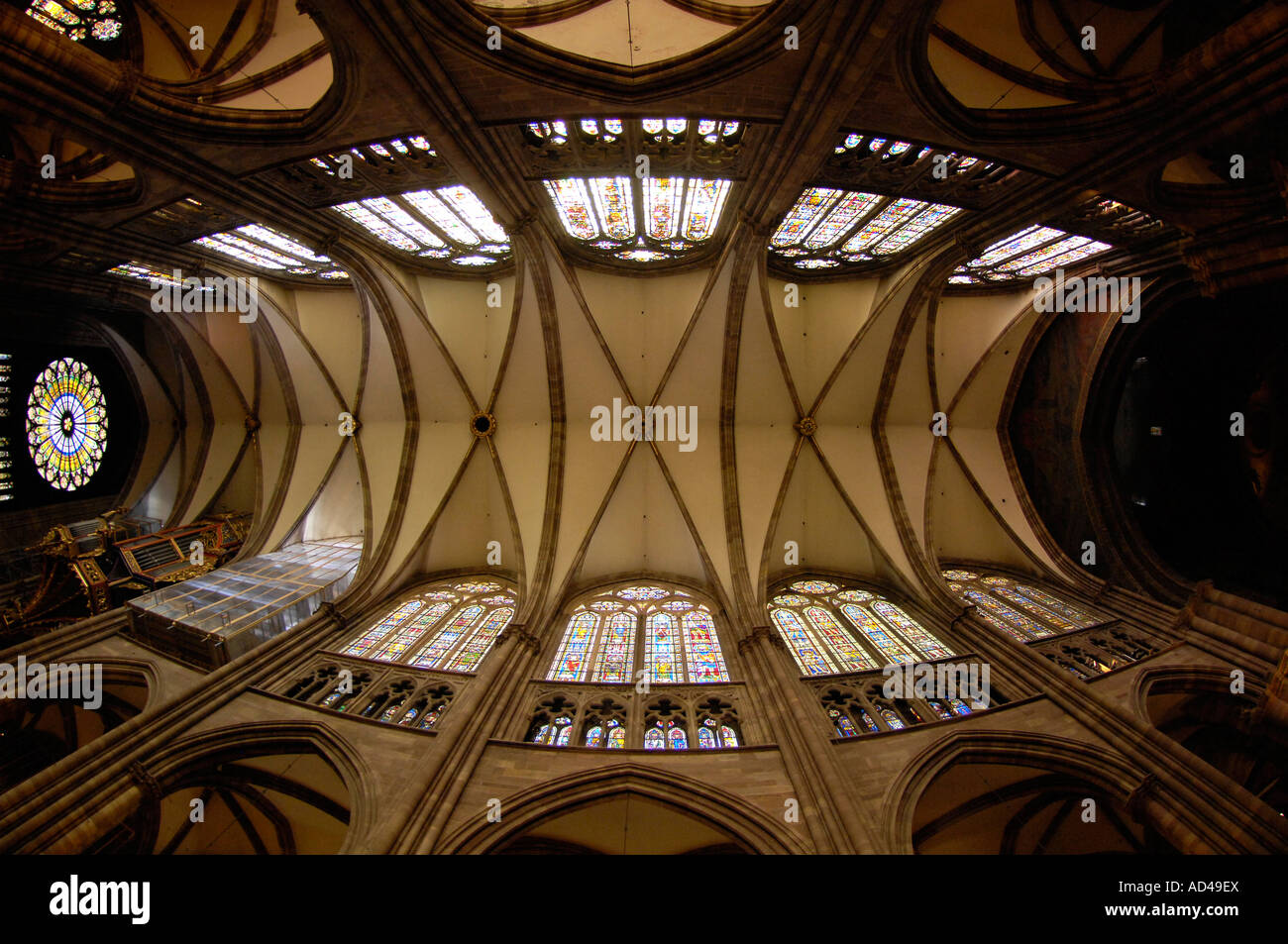 Plafond de cathédrale de Notre Dame de Strasbourg, Strasbourg, Alsace, France Banque D'Images
