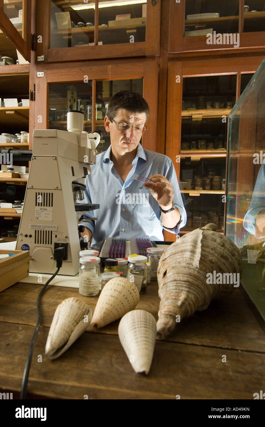 Scientifique, Matthias Glaubrecht, Musée d'Histoire Naturelle, Berlin, Allemagne Banque D'Images