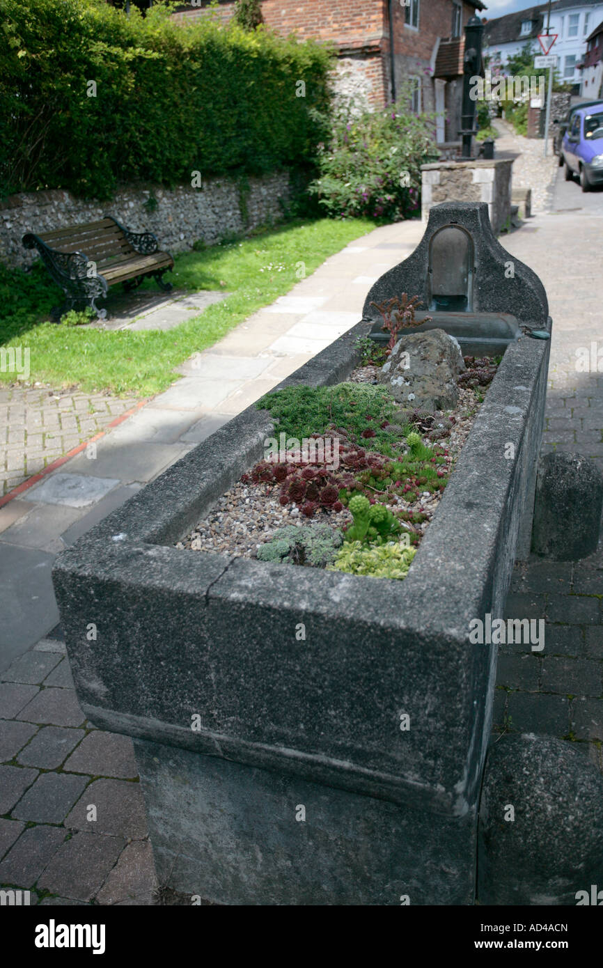 Vieux cheval de pierre creux converti en lit de fleur. Situé à Worthing, West Sussex, UK Banque D'Images