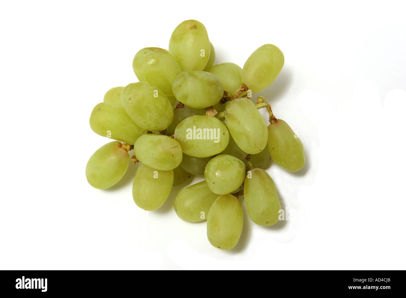 Bouquet de raisins blancs sur fond blanc un studio. Banque D'Images Bouquet de raisins blancs sur fond blanc un studio. Banque D'Images