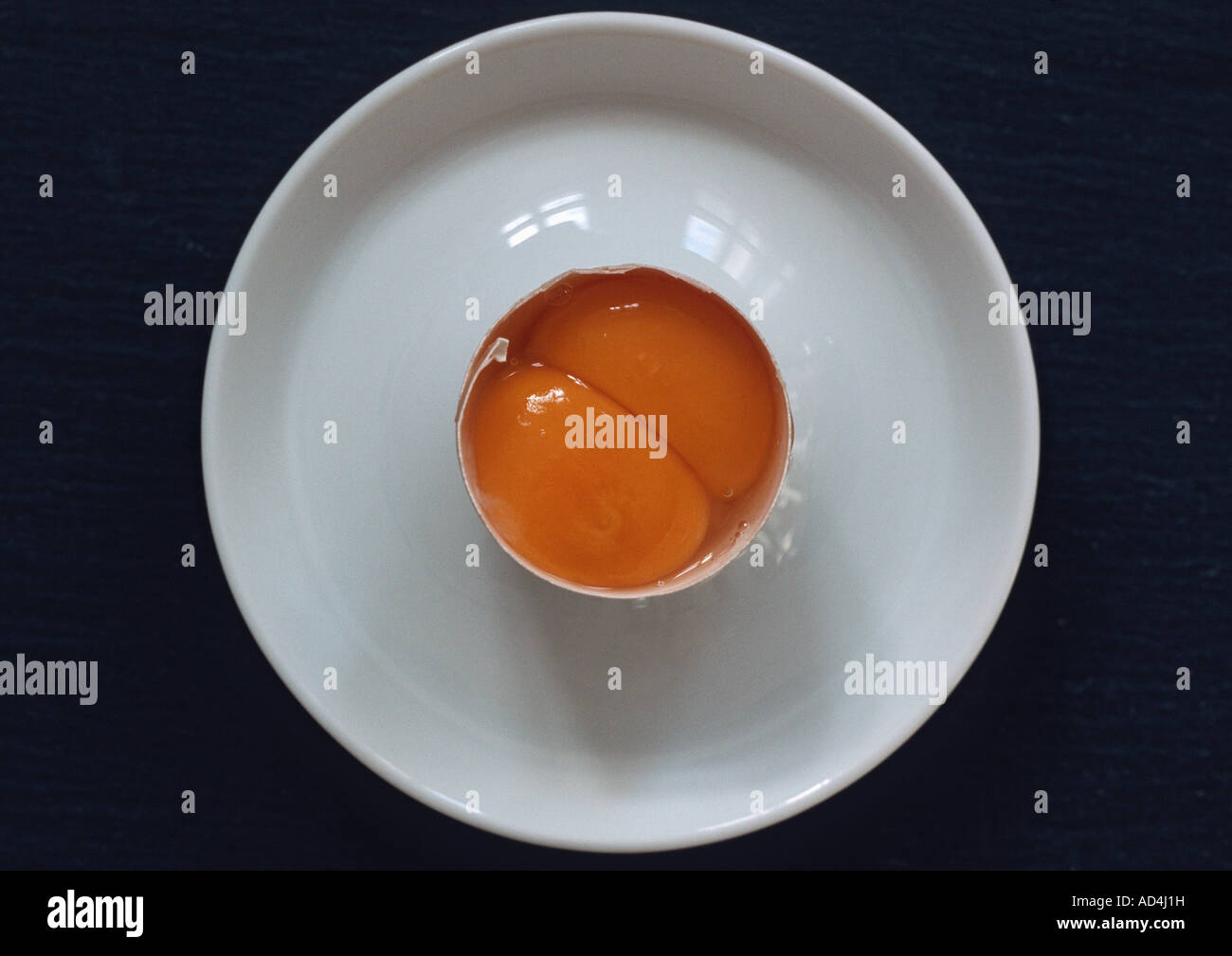 Deux jaunes d'oeuf dans une coquille d'œufs cassés Banque D'Images