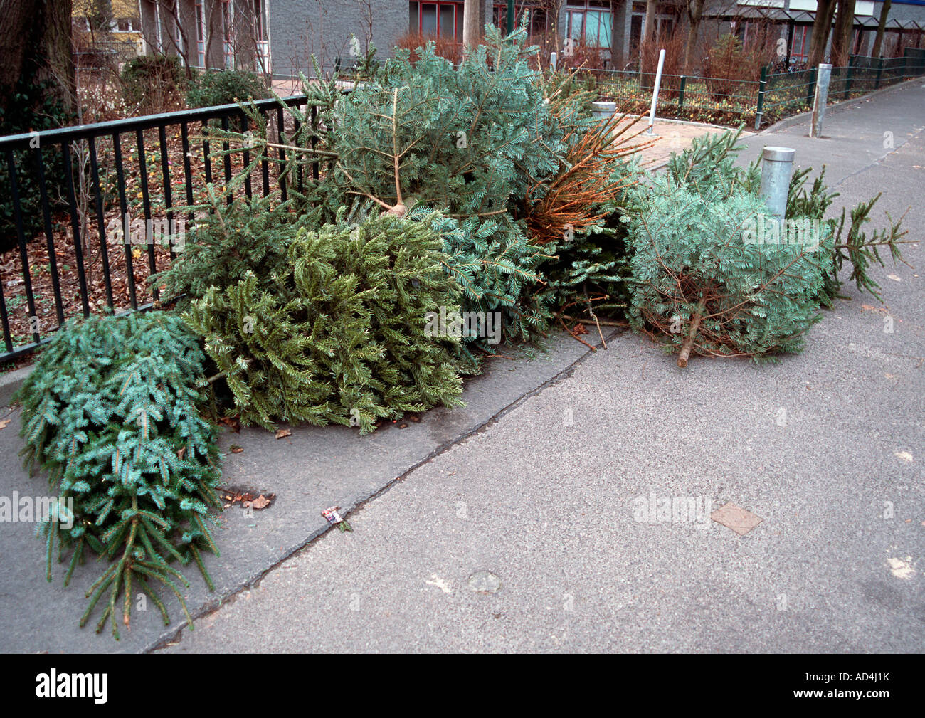 Vieux arbres de Noël abandonné sur un trottoir Banque D'Images