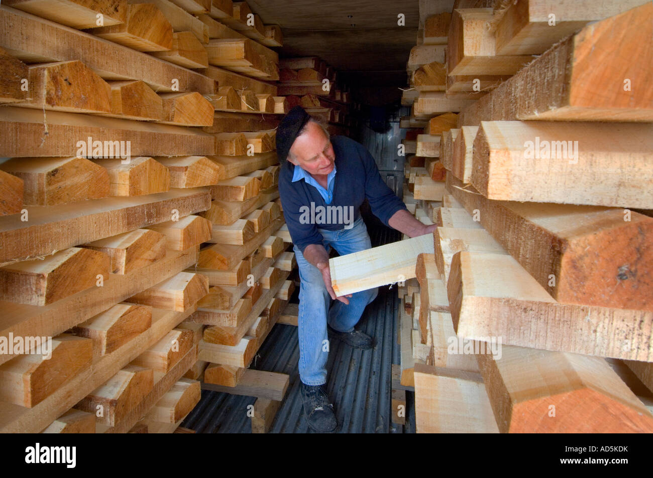 Newbery cricket factory dans l'East Sussex. Willow est empilé dans le four à sécher prêt pour la fabrication. Photo par Jim Holden Banque D'Images