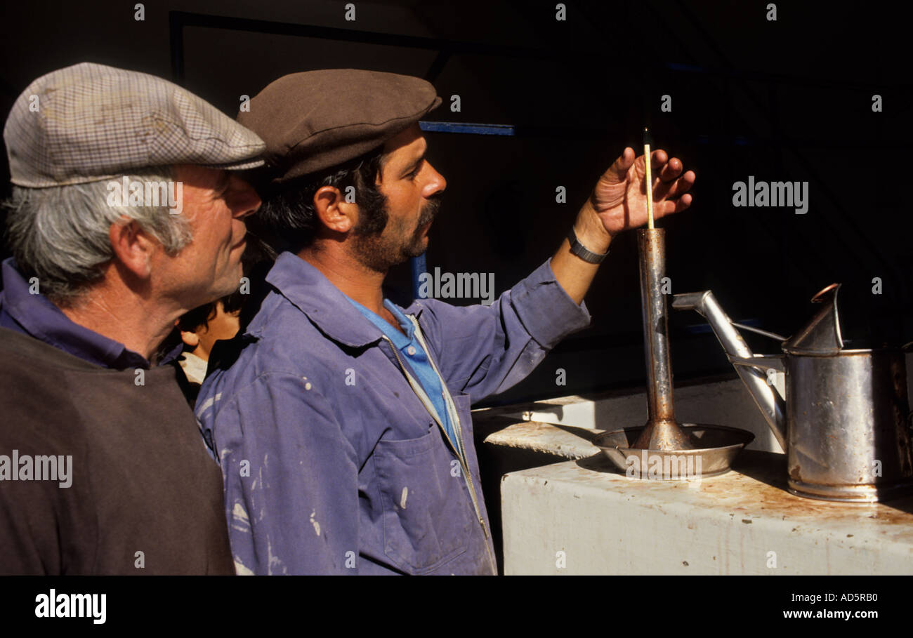 Portugal douro valley port wine homme hommes raisins test Banque D'Images