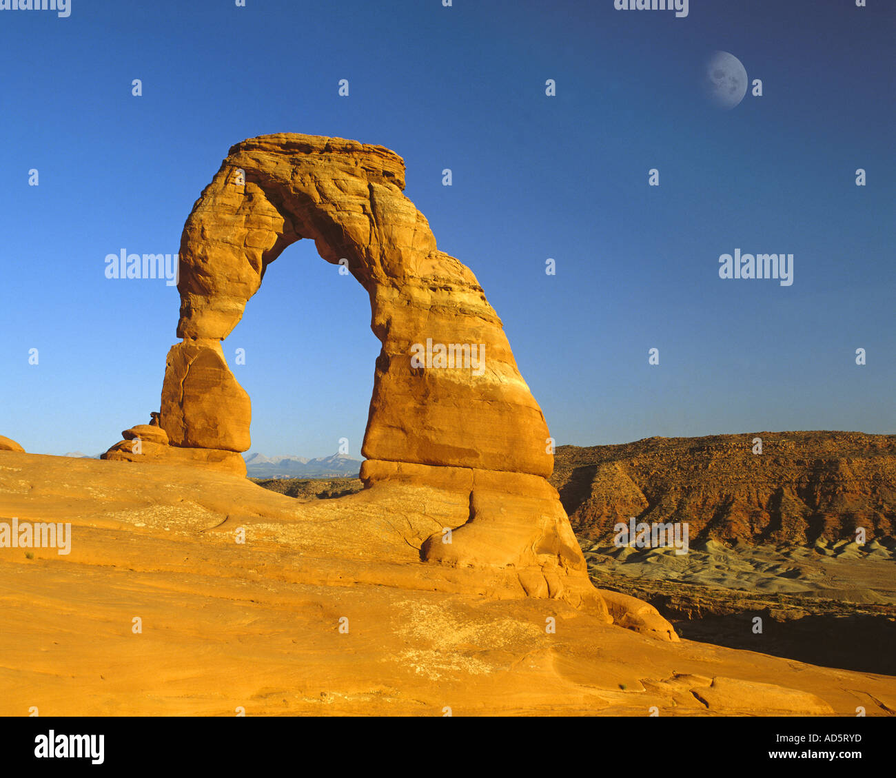 USA - UTAH : Delicate Arch à Arches National Park Banque D'Images