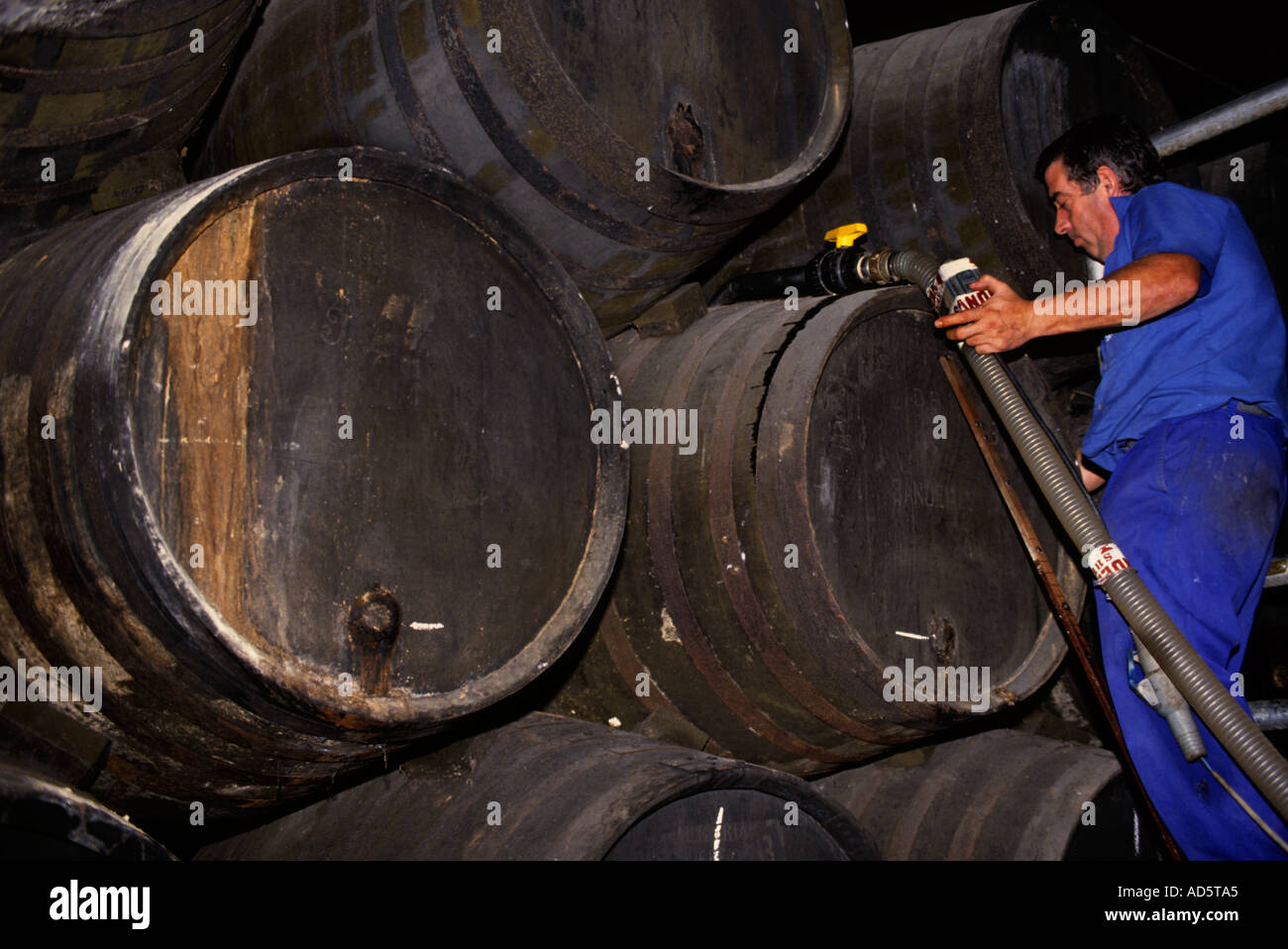 Sherry est produite dans le sud de l'Espagne dans la région de Jerez Banque D'Images