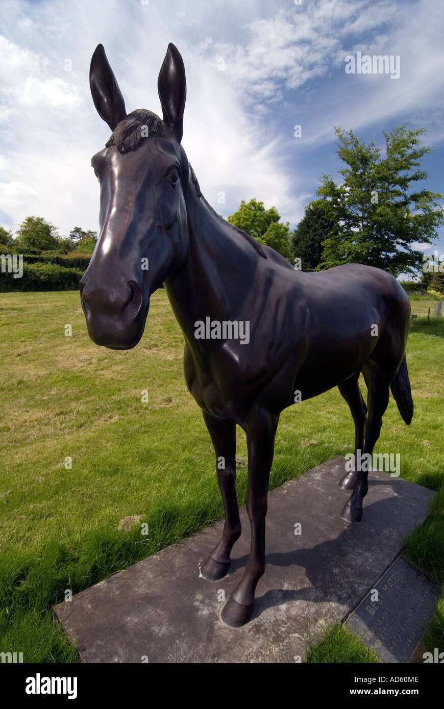 Statue de bronze de 10 ans meilleur ami de chevaux gagnant de trois coupes d'or au National Courses Cheltenham Banque D'Images