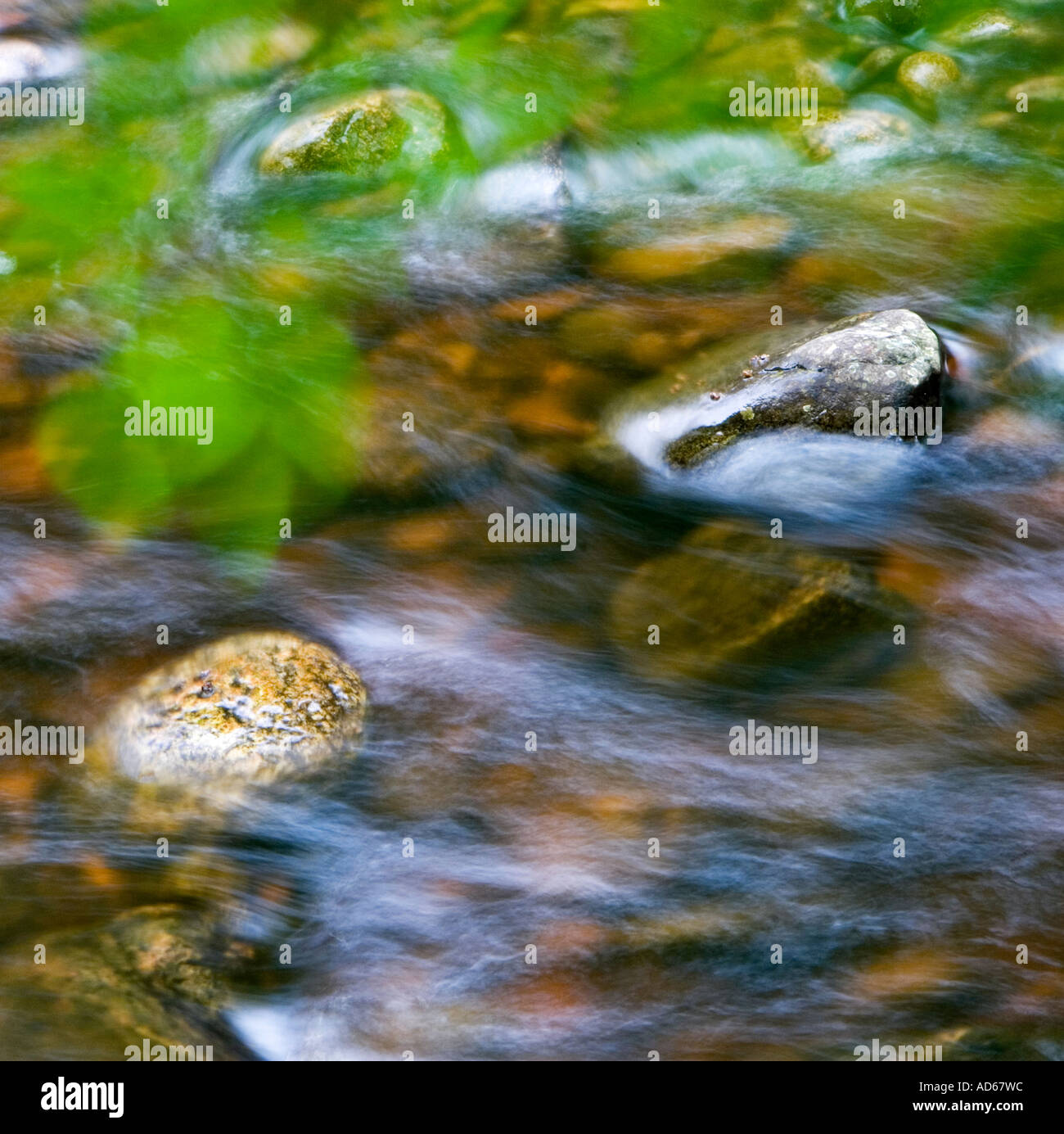 Une longue exposition de l'écoulement de l'eau sur des pierres dans une rivière à écossais Cawdor woods, Nairn, Ecosse Banque D'Images