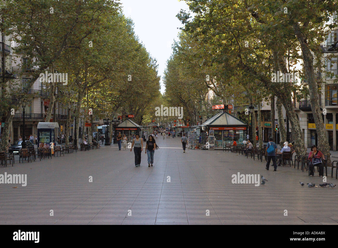 Voir l'attraction touristique célèbre de Las Ramblas Barcelona La Catalogne Catalunya Barça Catalogne Costa Brava España Espagne Europe Banque D'Images