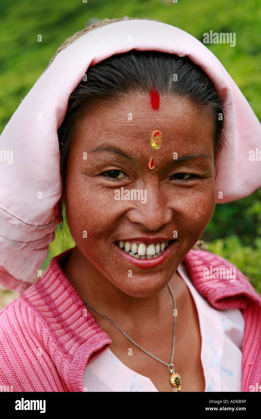 Plateau agricole à l'ouest du Bengale, en Inde Banque D'Images