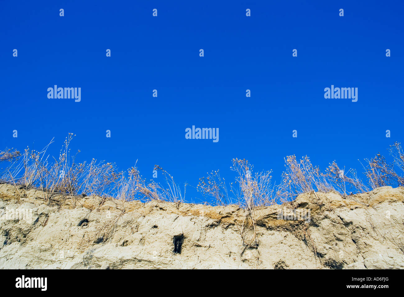 Avis de plantes du désert sur la rivière falaise contre le ciel bleu Andy McGuire Hanford Reach Columbia Southeast Washington USA Banque D'Images