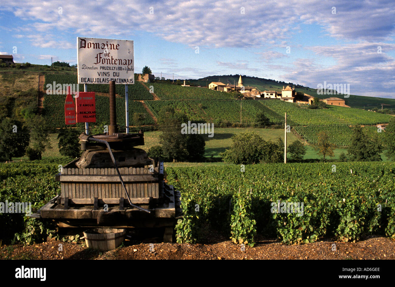 Le Beaujolais est une région viticole importante de l'est de la France, célèbre pour ses vins rouges fruités et vibrants fabriqués à partir de Gamay. Presse à vins Banque D'Images