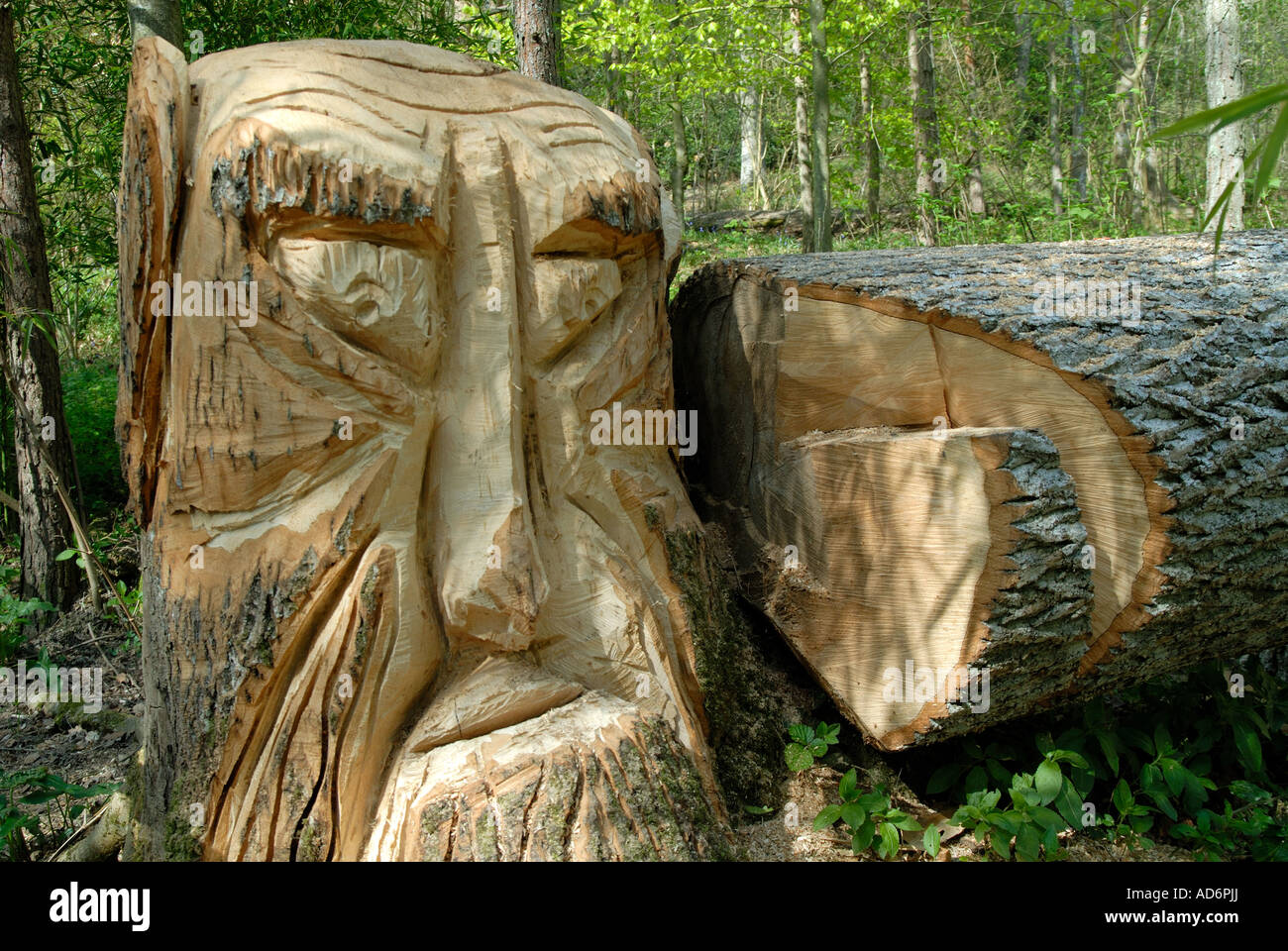 Un tronc d'arbre sculpté dans la forêt enchantée, Groombridge Place, Kent. Banque D'Images