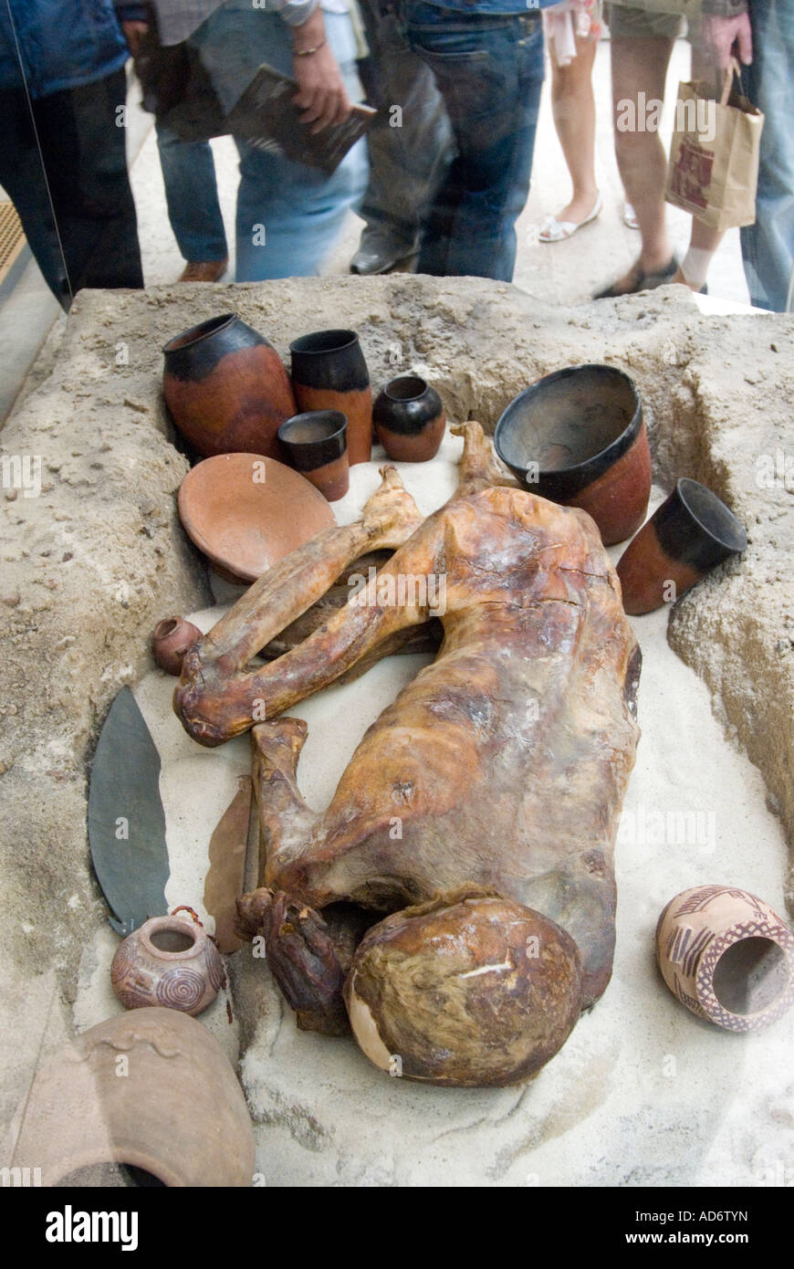 Gebelein, un homme de la momie naturelle période prédynastique enterrés autour de 3500 avant J.-C., le British Museum, London, UK Banque D'Images