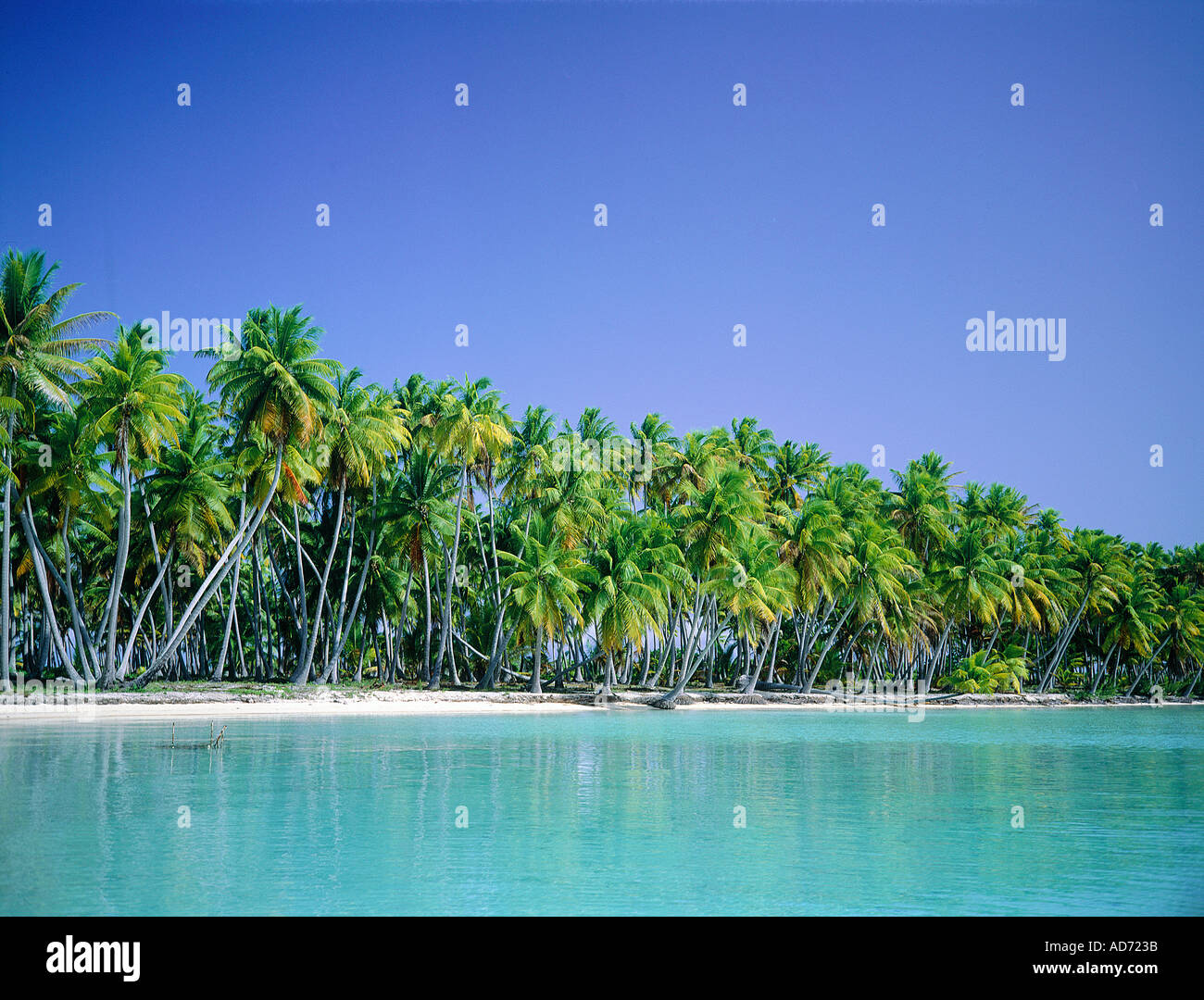 atoll takapoto