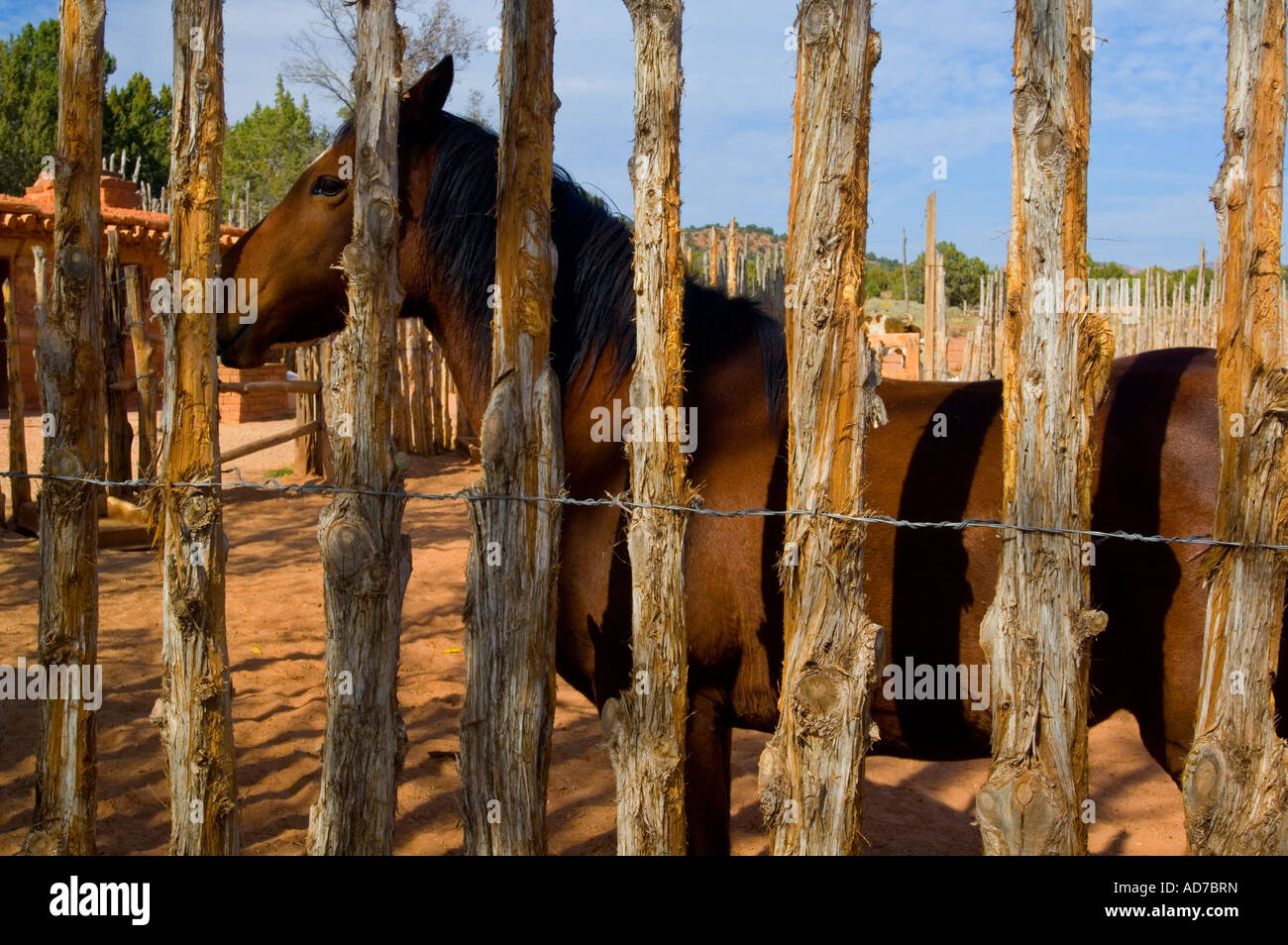 Derrière une clôture en bois cheval corral les ressorts National Monument près de Fredonia Arizona Banque D'Images
