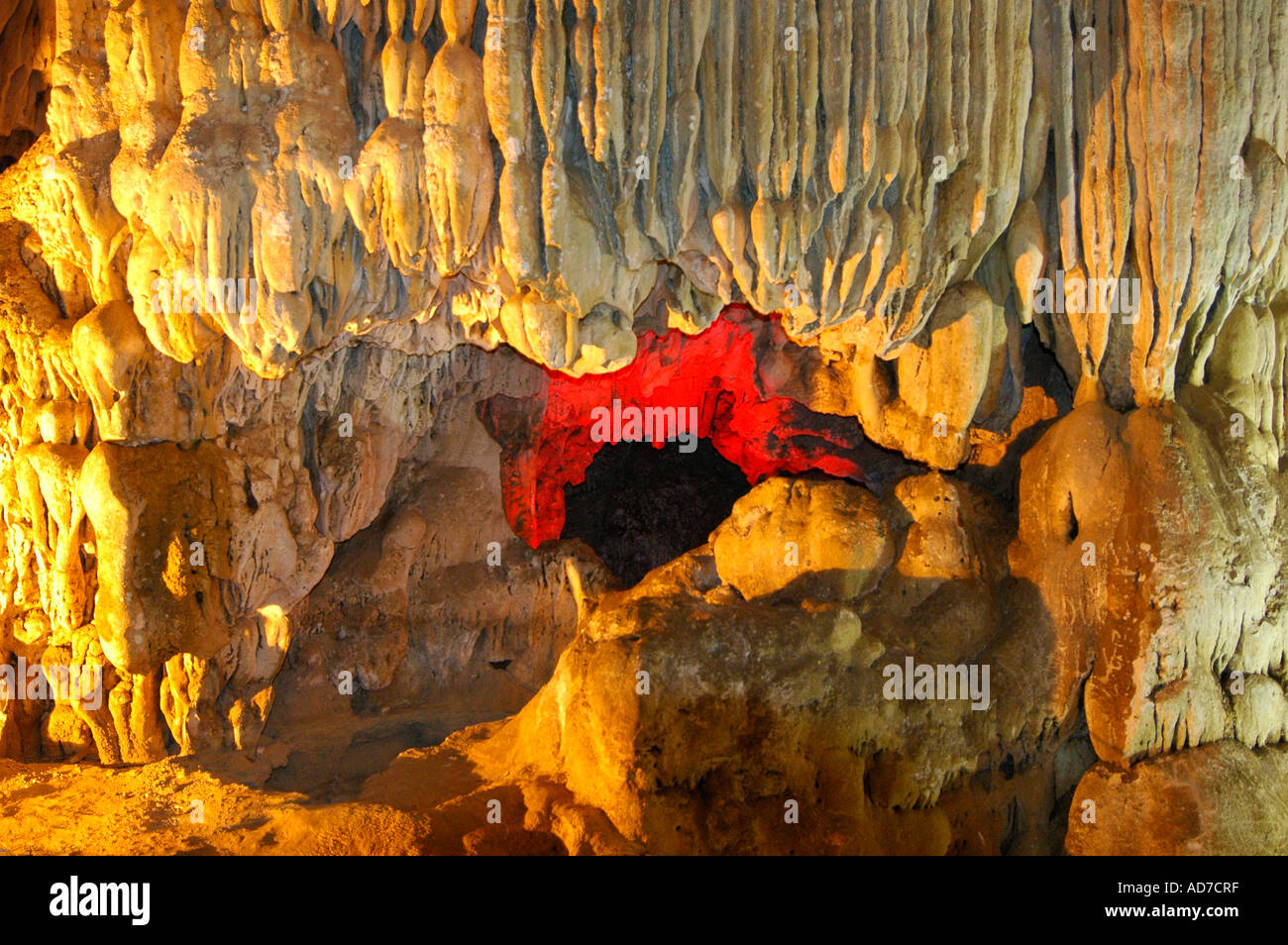La grotte Sung Sot ou surprise Bo Député Island Baie de Halong Vietnam Banque D'Images