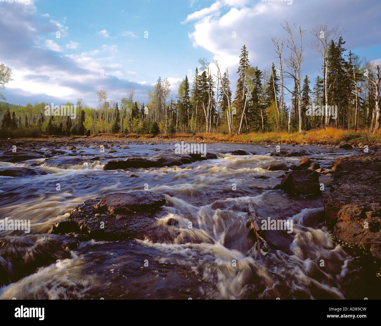 Temperance River au printemps Temperance River State Park, sur la rive nord du lac Supérieur, Minnesota USA Tofte Banque D'Images