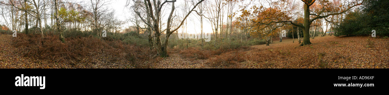 Vue panoramique à 360 degrés d'un parc de stationnement est Suton Park près de Birmingham en Angleterre Banque D'Images