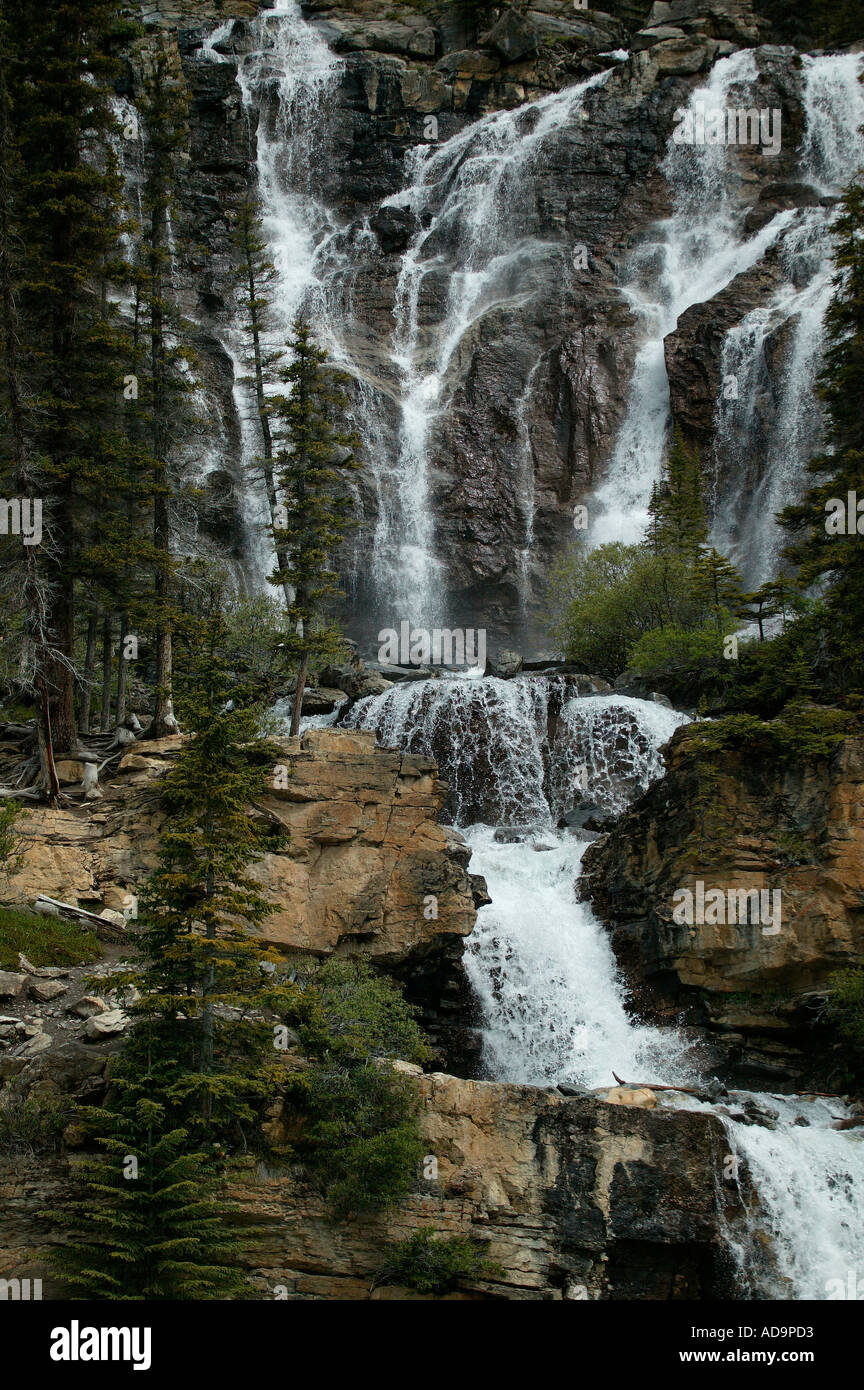 Chutes Tangle Parc National Jasper Perk Alberta Canada Banque D'Images