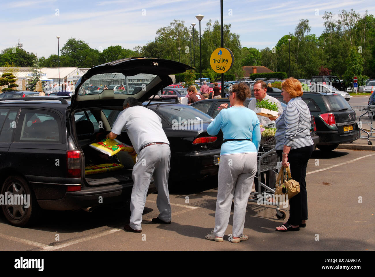 Chargement des gens leur voiture avec des plantes de jardinerie, Berkshire, Royaume-Uni. Banque D'Images