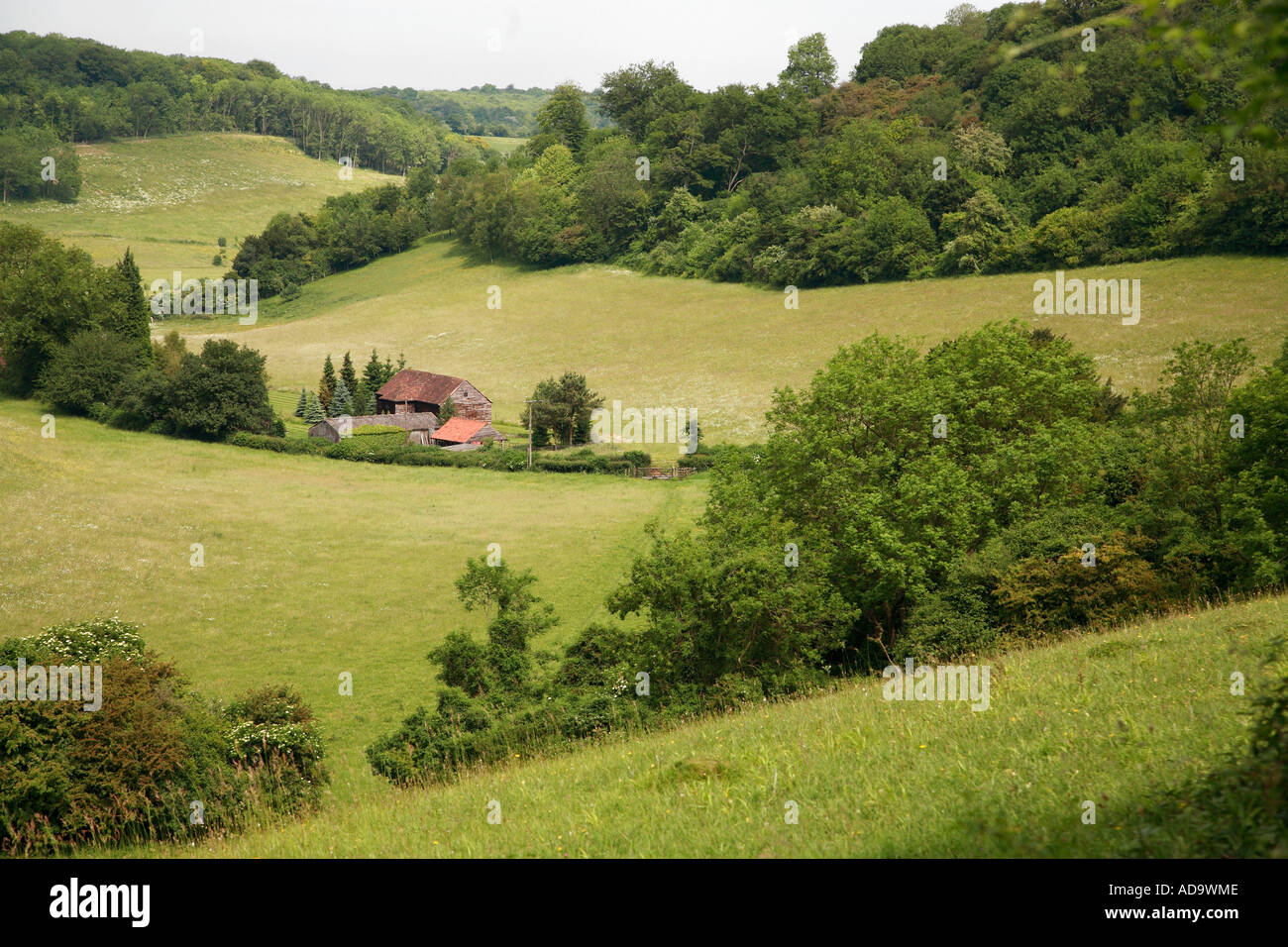 Kent bas Magpie Banque D'Images