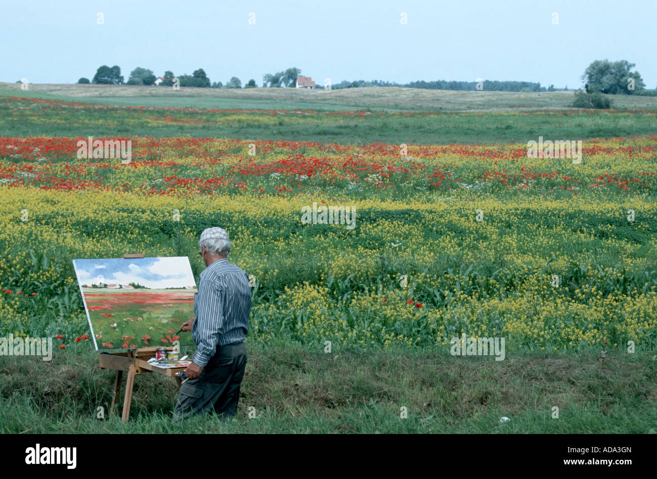 Peinture peintre des routes pré de fleurs colorées, Pologne Banque D'Images