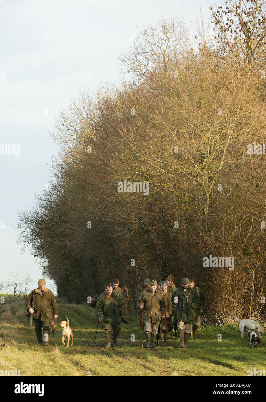 Un groupe ou un parti d'Hommes revenant de prise de vue dans un paysage rural en hiver Banque D'Images